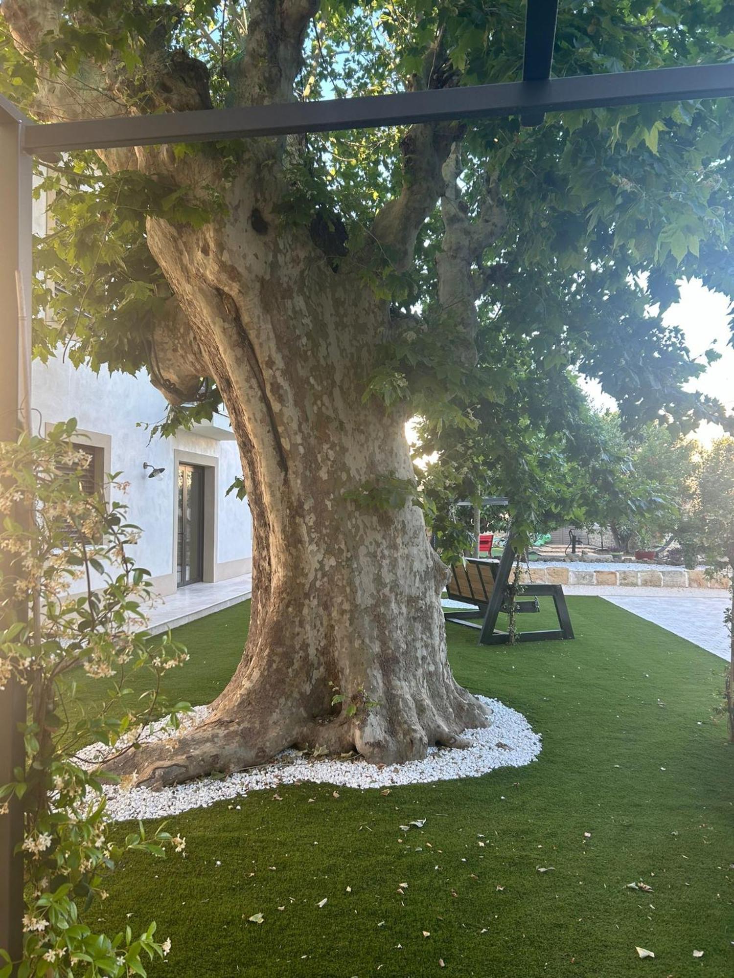 Les Marronniers Bed & Breakfast Laverune ภายนอก รูปภาพ