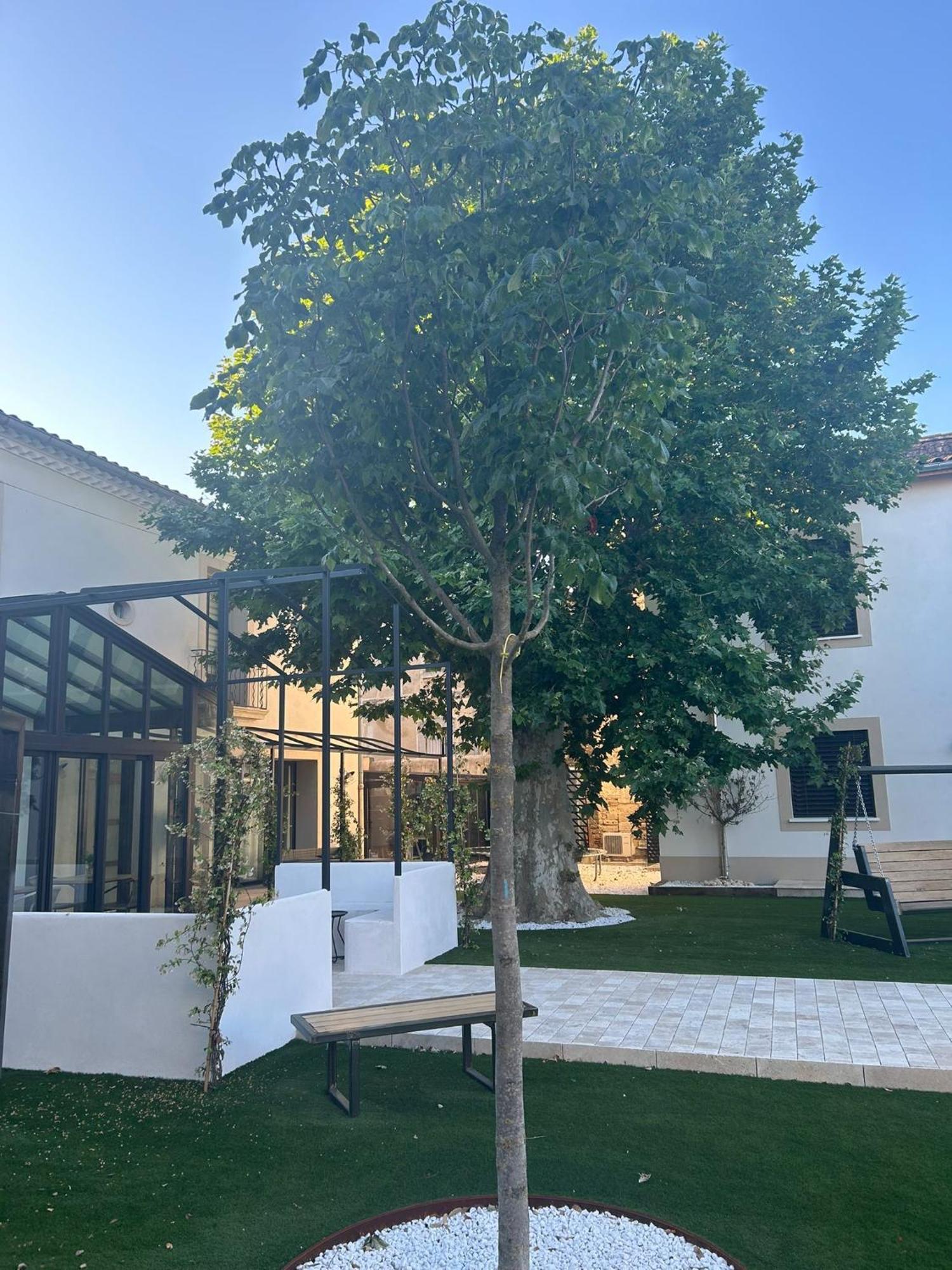 Les Marronniers Bed & Breakfast Laverune ภายนอก รูปภาพ